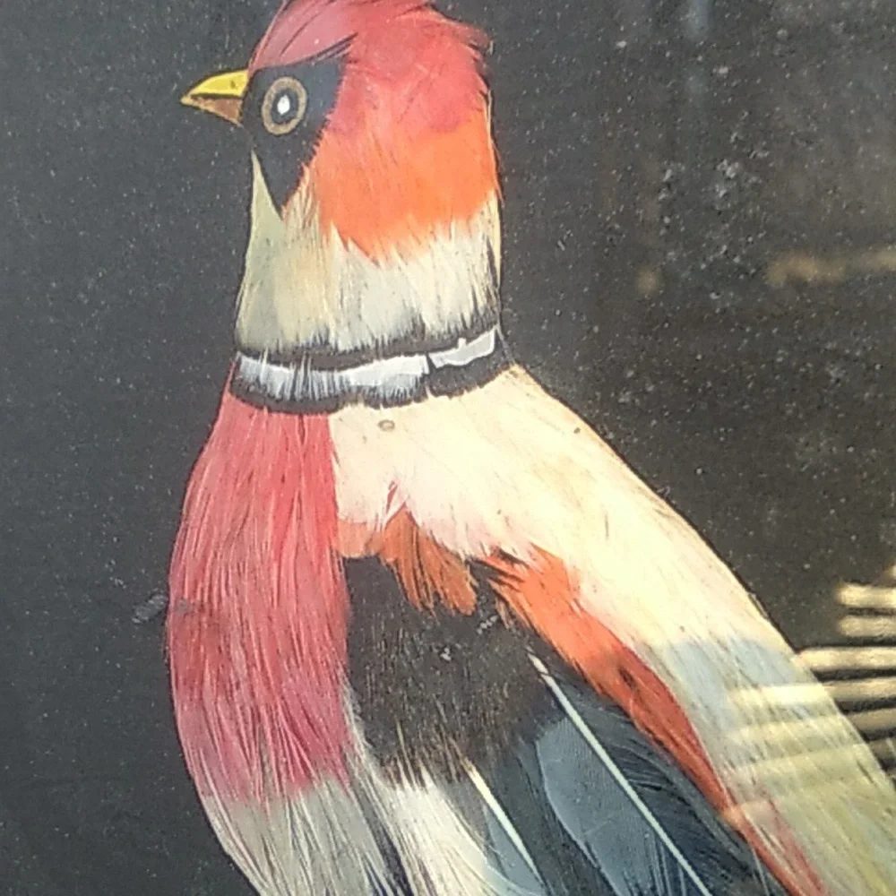 Vintage PEACOCK Framed ART Bird Distressed Wood FRAME 🖼️ 19